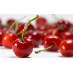 Cereza