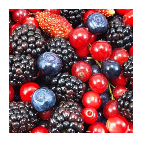 Frutos del bosque